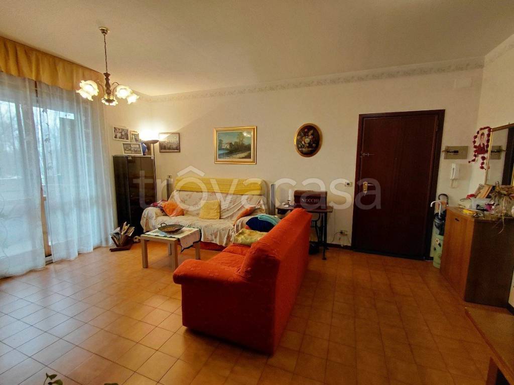 immagine annuncio 7 di 12