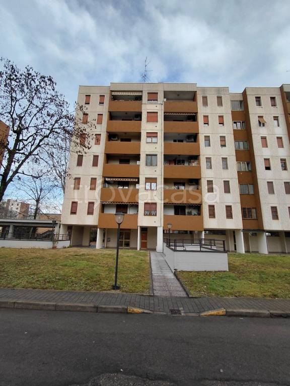 immagine annuncio 10 di 12