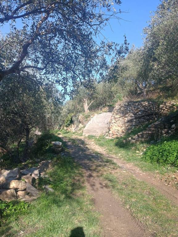 immagine annuncio 4 di 11