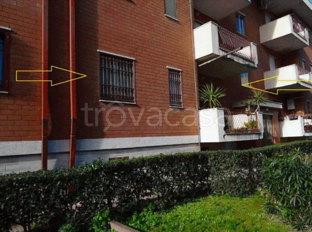 immagine annuncio 9 di 11