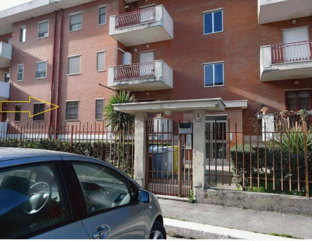 immagine annuncio 10 di 11