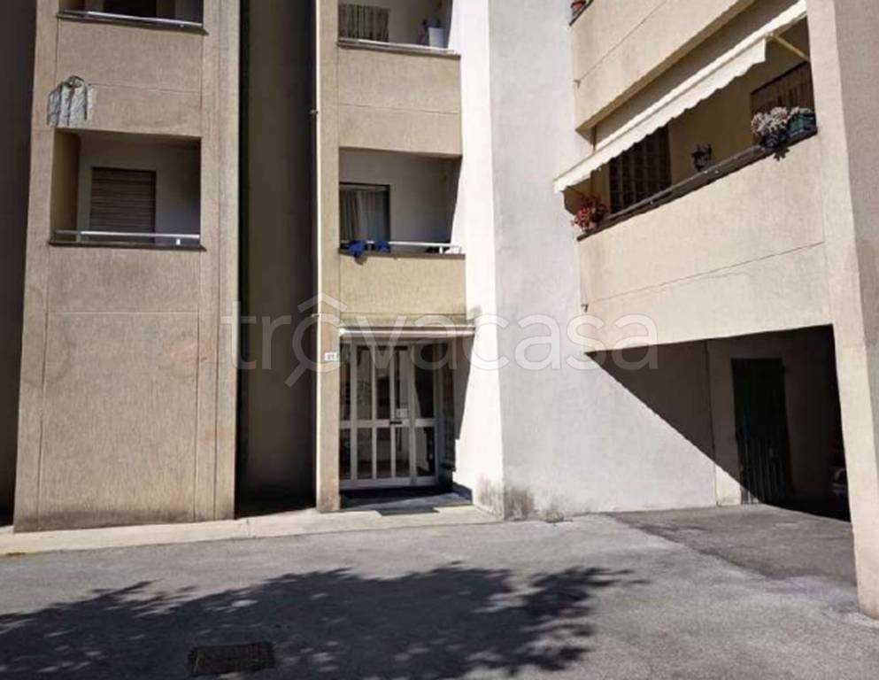 immagine annuncio 9 di 12