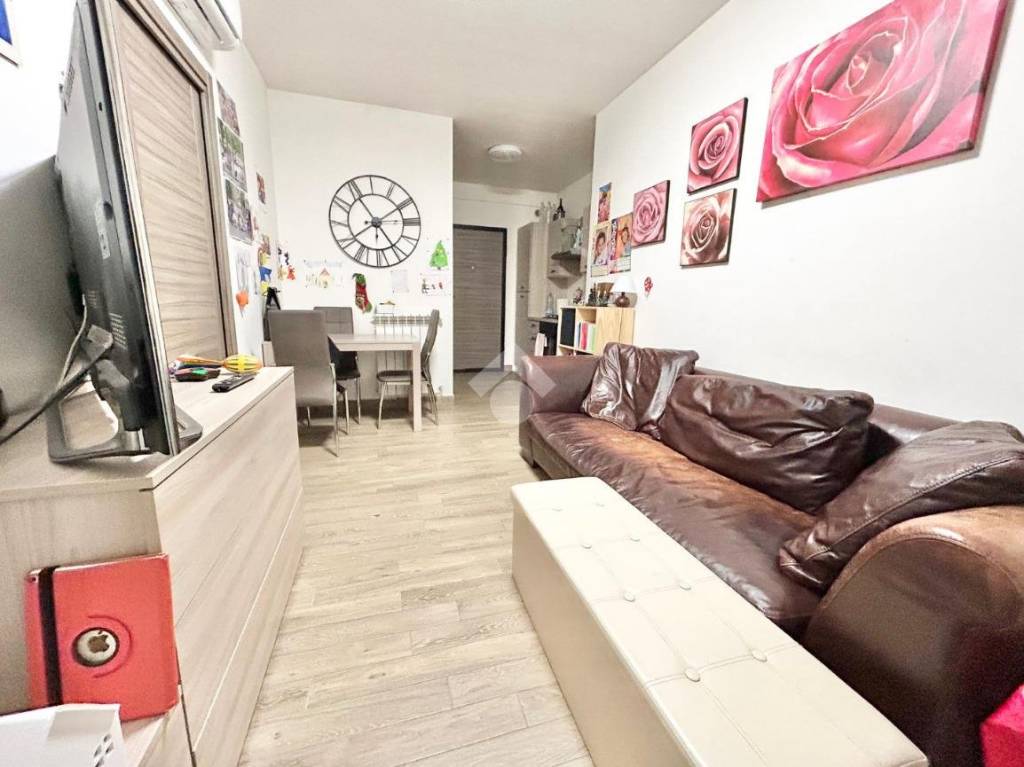 immagine annuncio 7 di 15