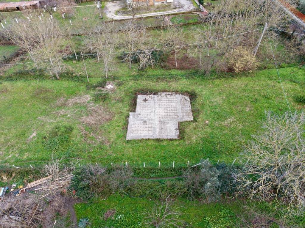 immagine annuncio 2 di 14