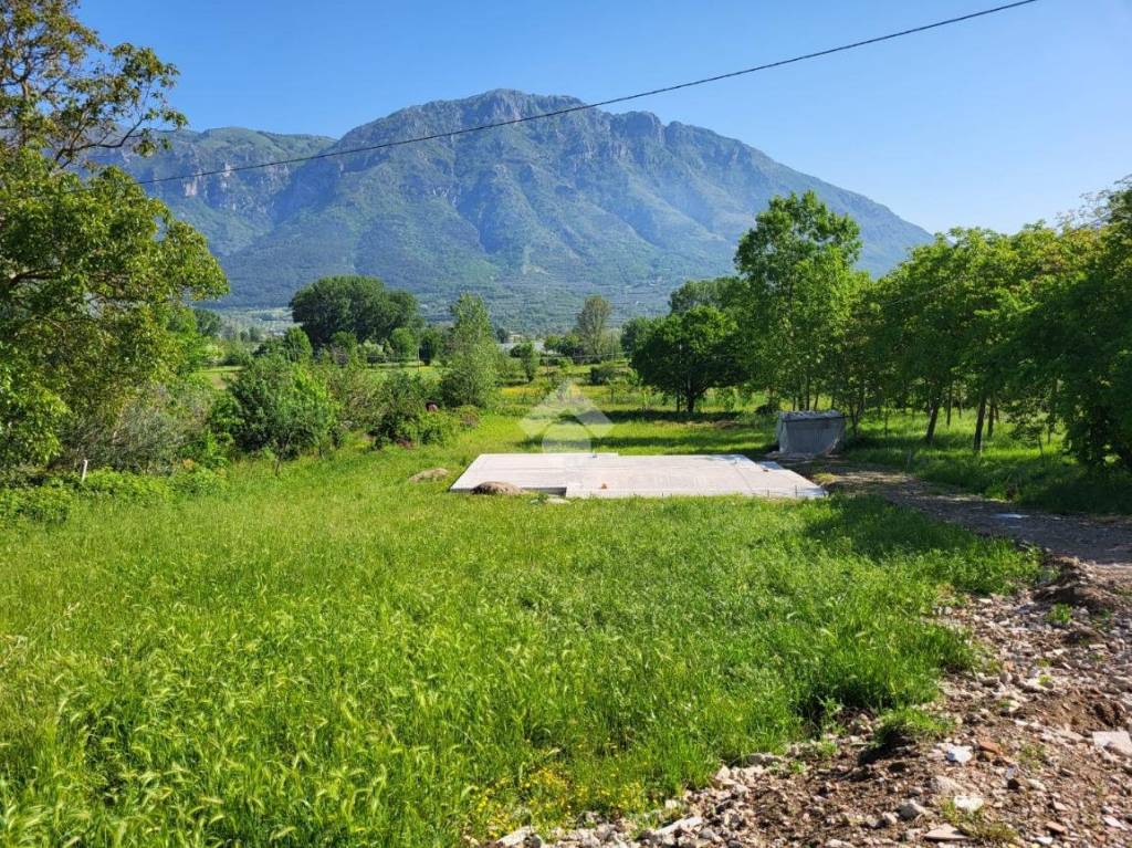 immagine annuncio 8 di 14