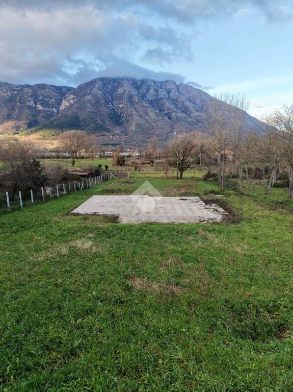 immagine annuncio 9 di 14