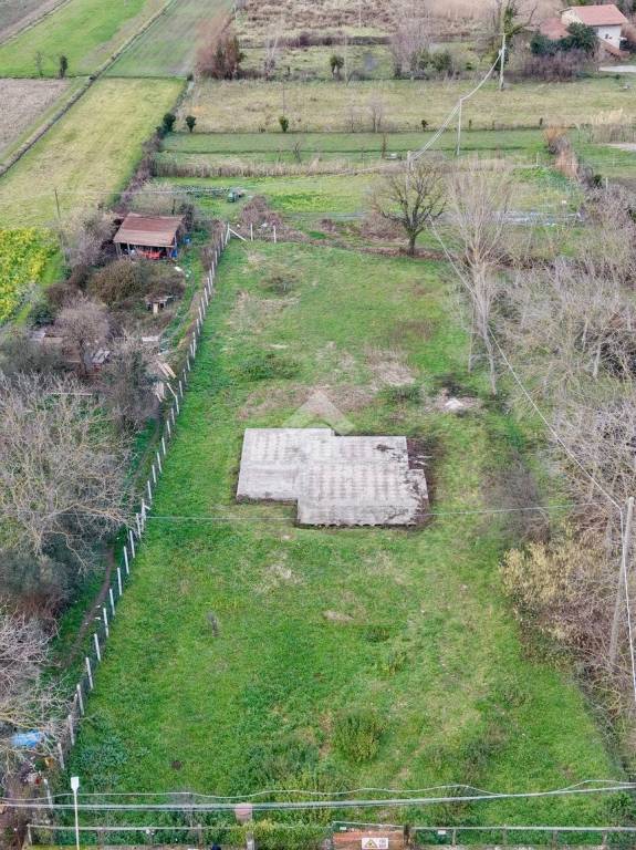 immagine annuncio 10 di 14