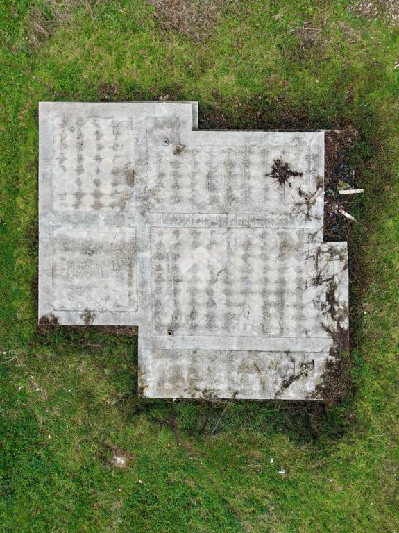 immagine annuncio 11 di 14