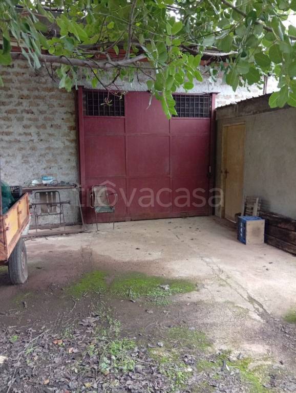 immagine annuncio 3 di 6