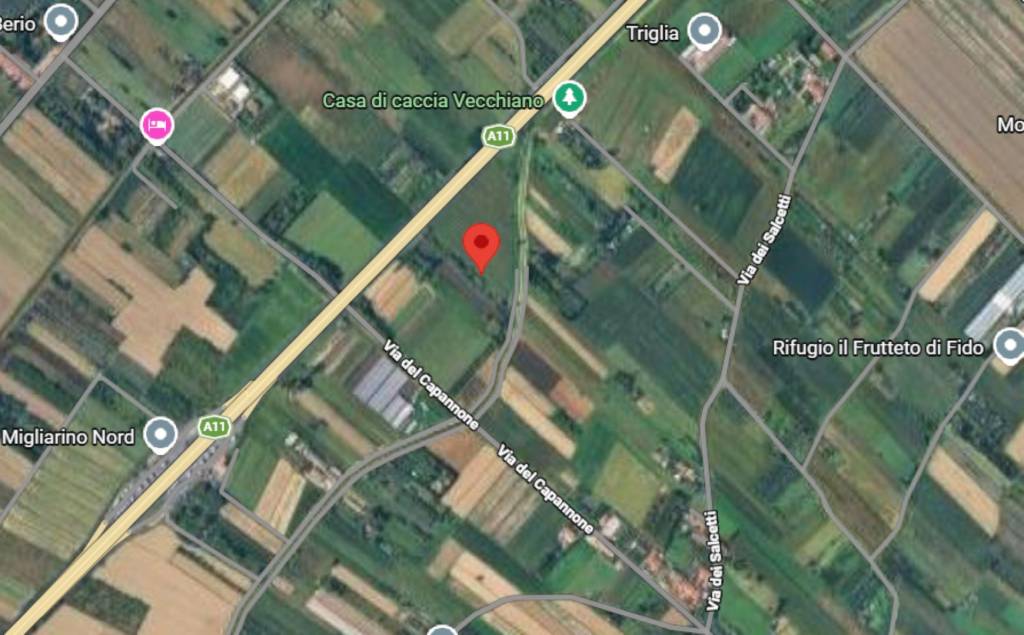 immagine annuncio 2 di 12