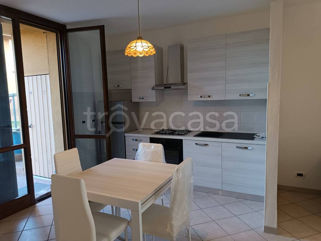 immagine annuncio 5 di 15