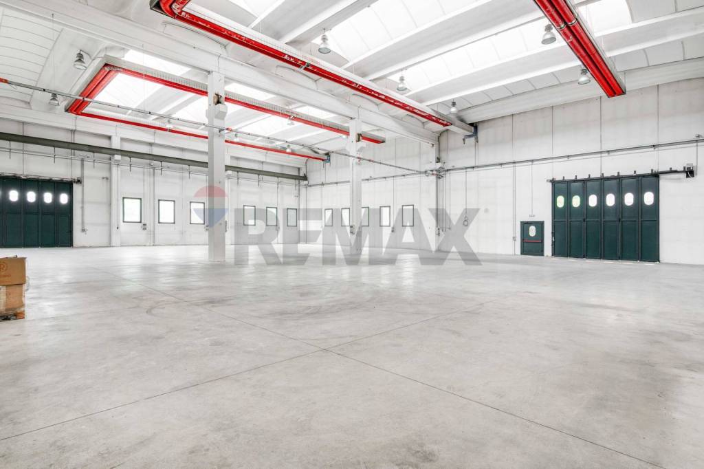 immagine annuncio 2 di 12