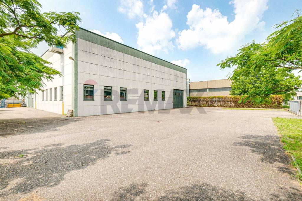 immagine annuncio 8 di 12