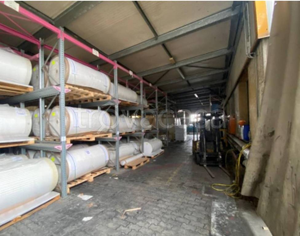 immagine annuncio 3 di 14