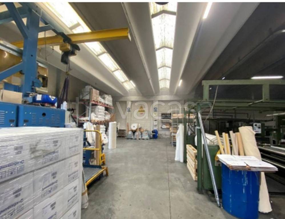 immagine annuncio 5 di 14