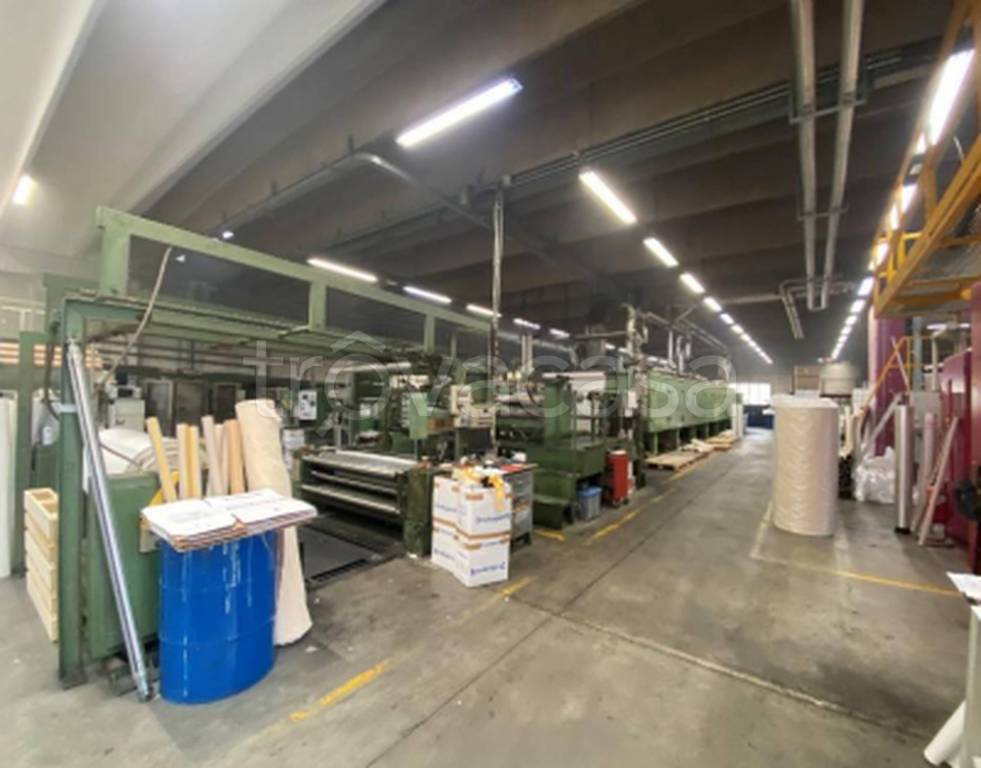 immagine annuncio 6 di 14