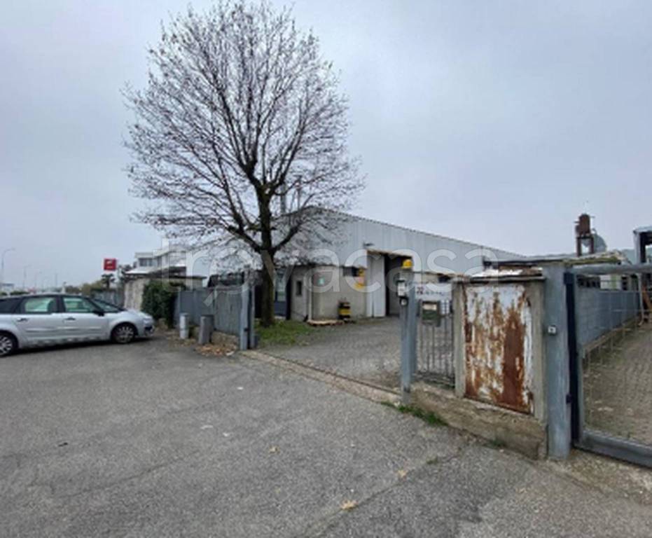 immagine annuncio 11 di 14