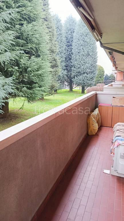 immagine annuncio 10 di 11