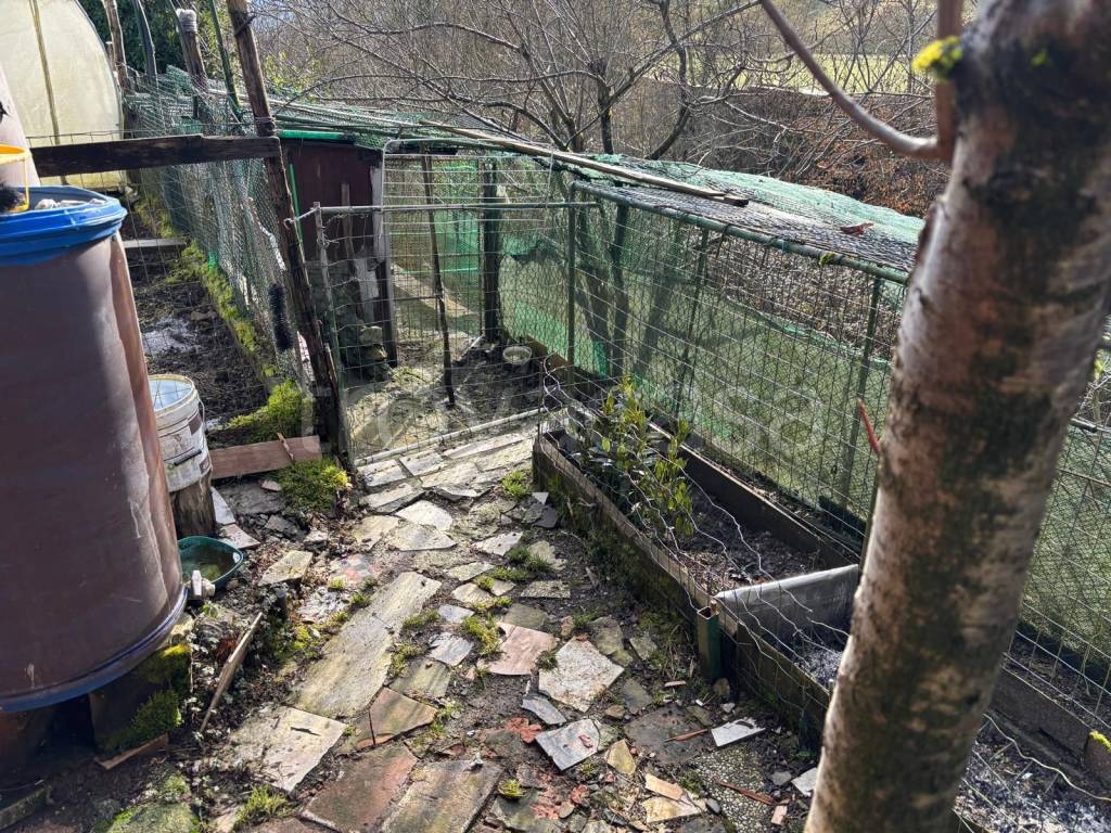 immagine annuncio 11 di 15