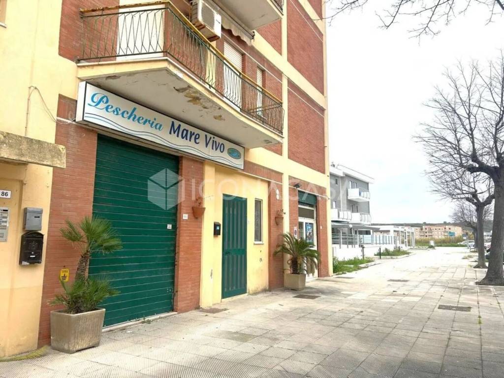 immagine annuncio 2 di 11