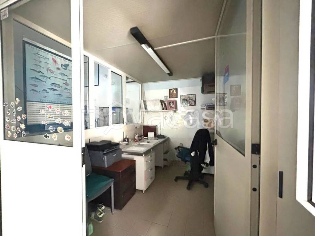 immagine annuncio 6 di 11