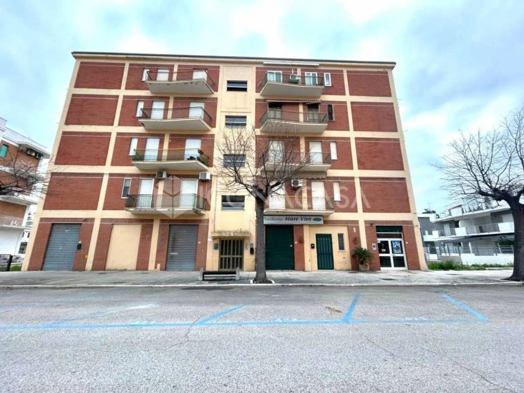 immagine annuncio 10 di 11