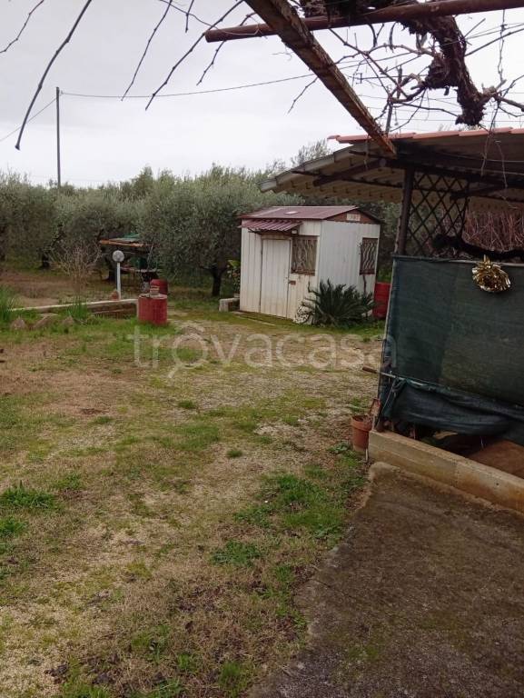 immagine annuncio 1 di 6