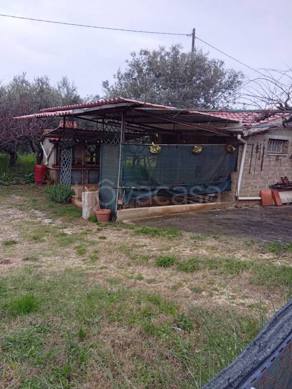 immagine annuncio 2 di 6