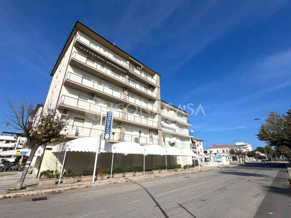 immagine annuncio 12 di 13