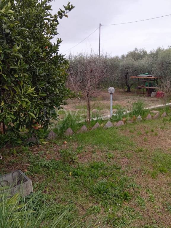 immagine annuncio 3 di 6