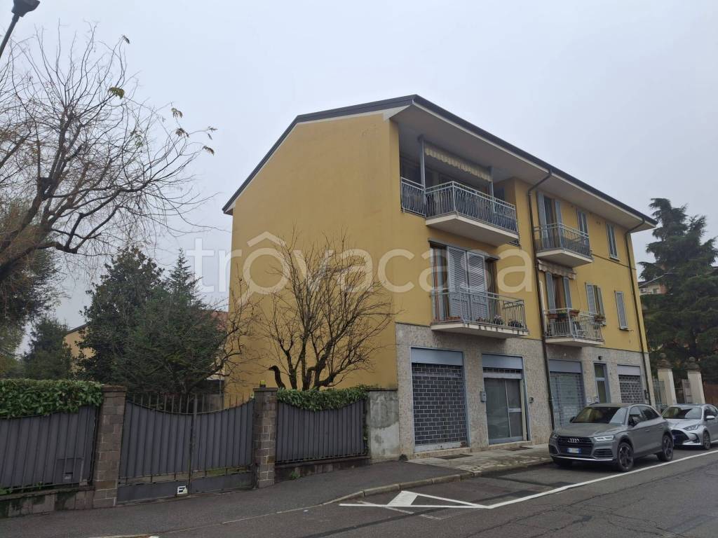 immagine annuncio 1 di 11