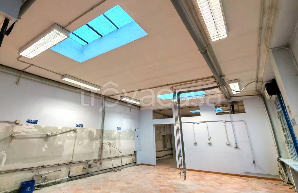 immagine annuncio 7 di 12