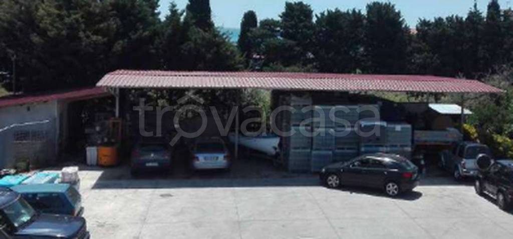 immagine annuncio 3 di 12