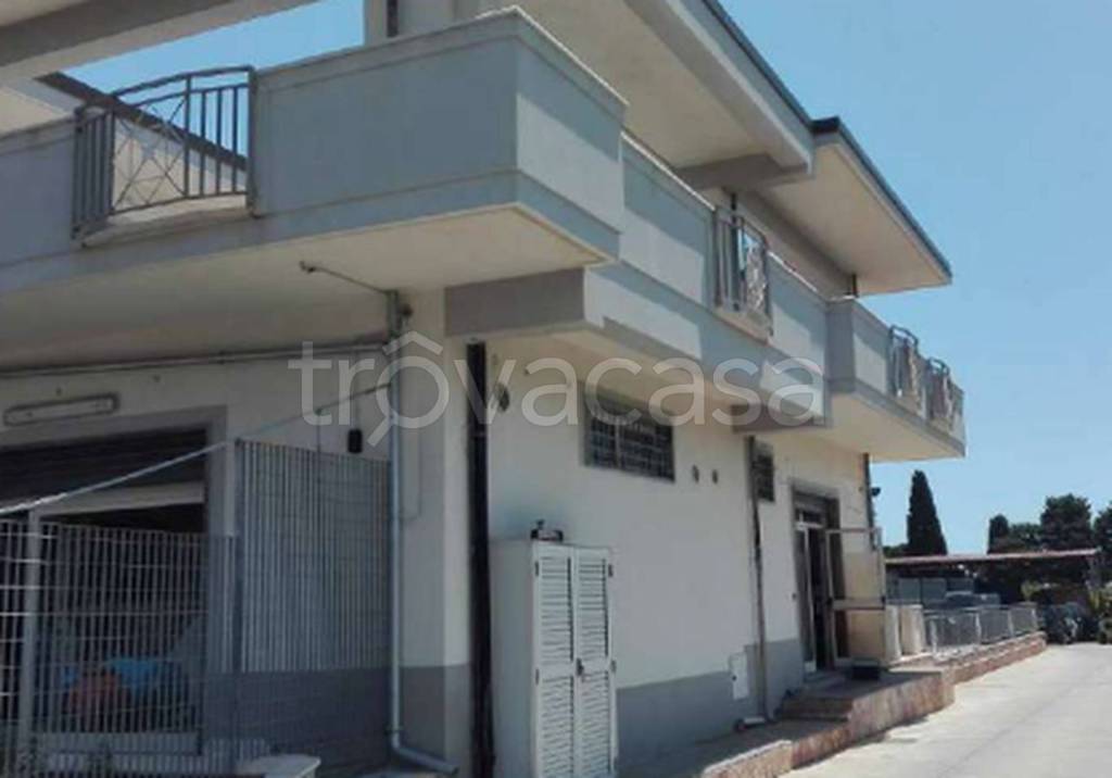 immagine annuncio 5 di 12