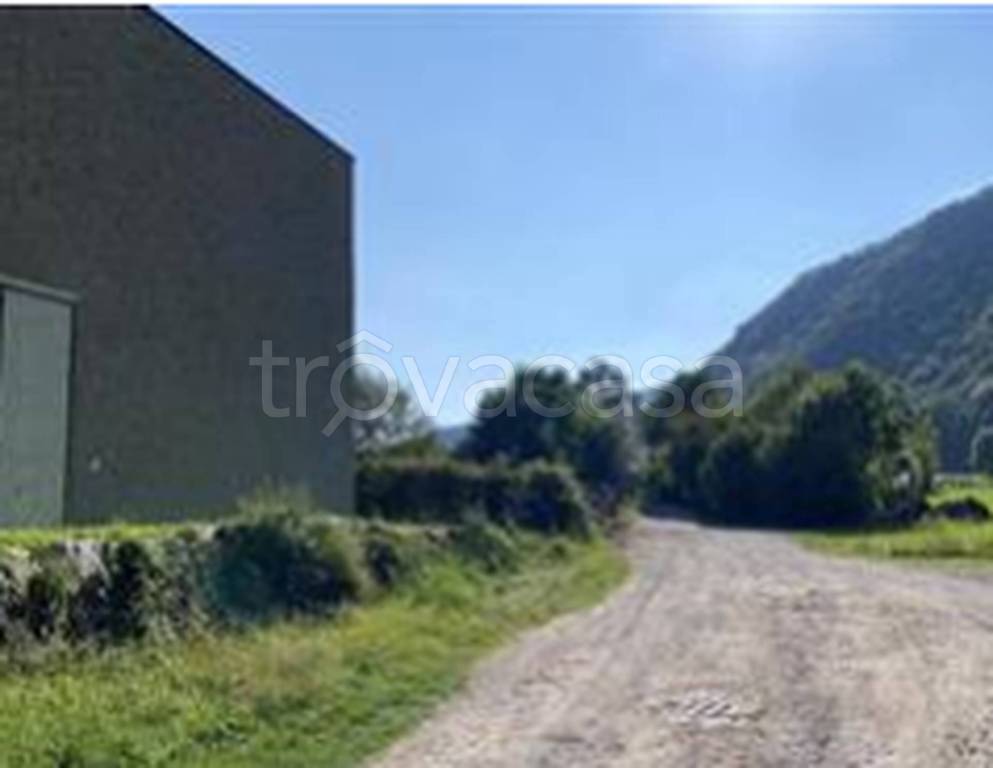 immagine annuncio 4 di 12