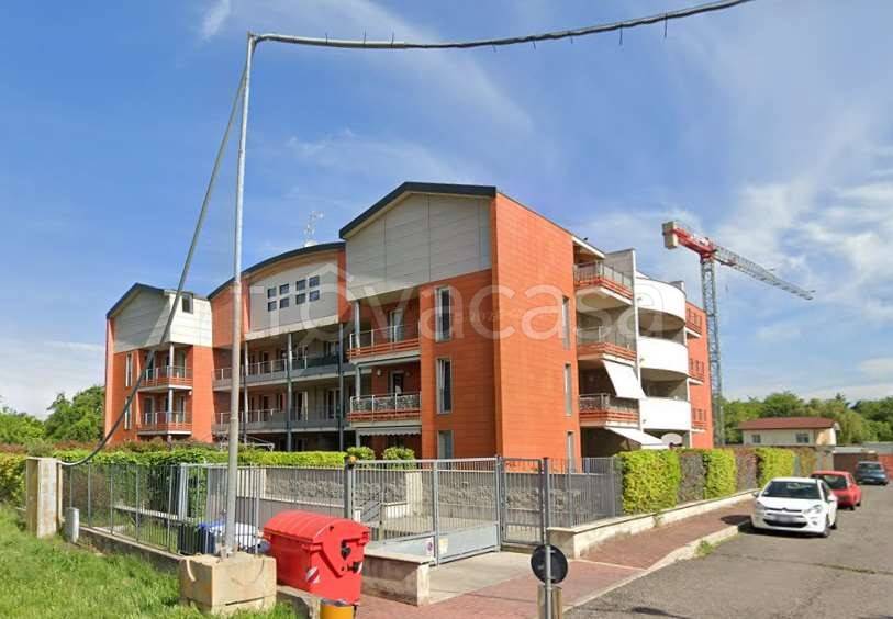 immagine annuncio 5 di 15