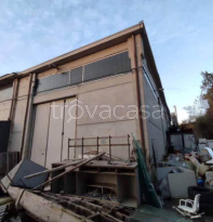 immagine annuncio 4 di 10