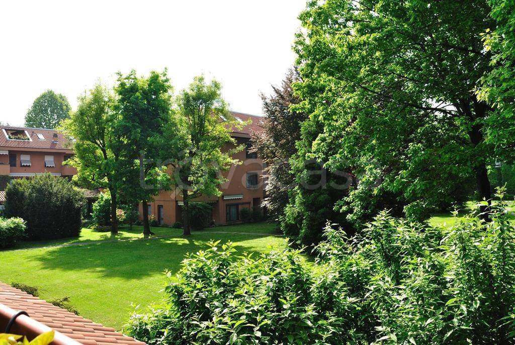 immagine annuncio 4 di 13