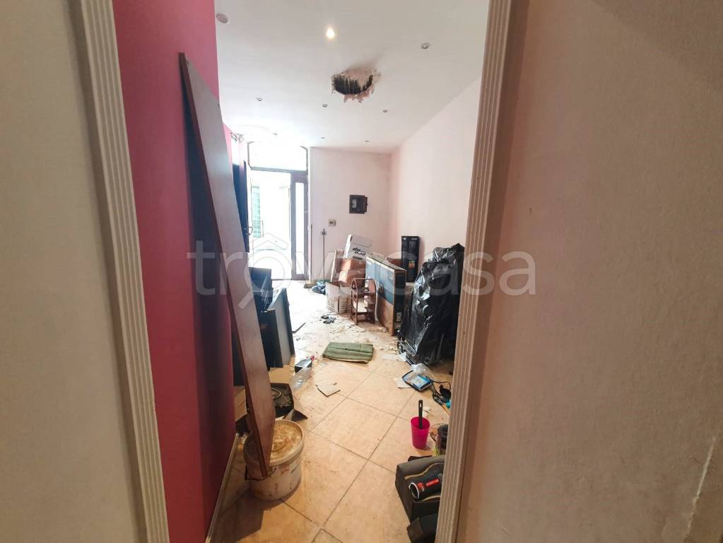 immagine annuncio 3 di 14