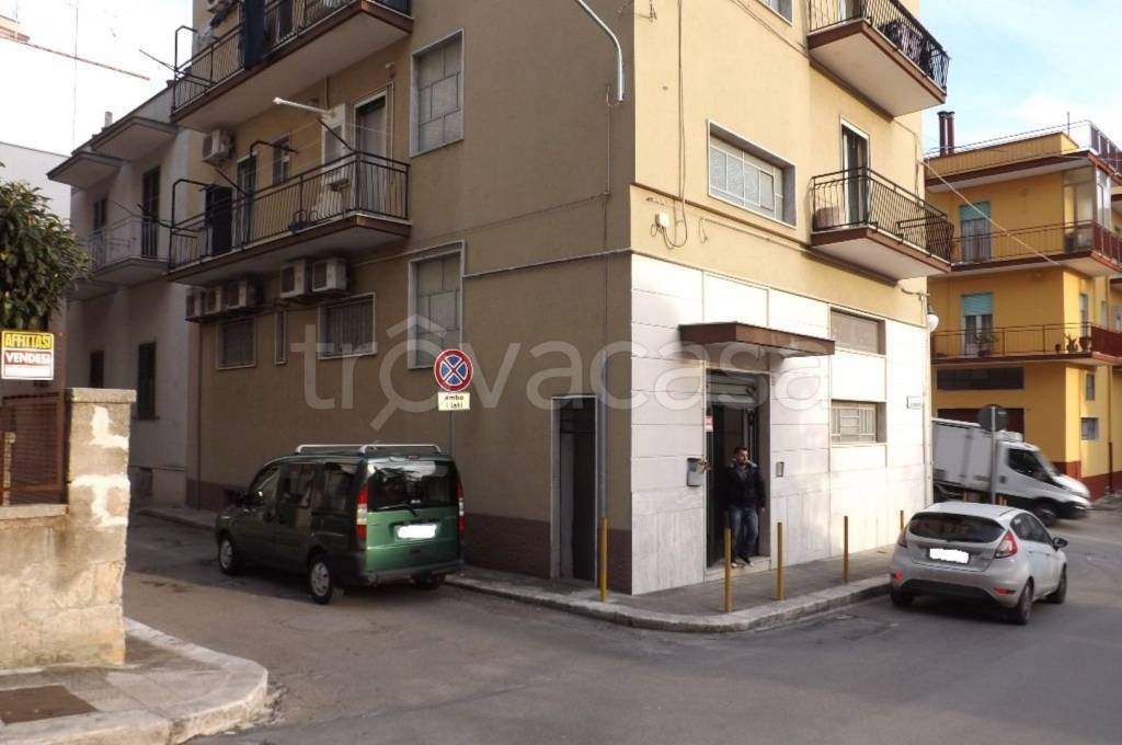 immagine annuncio 7 di 11