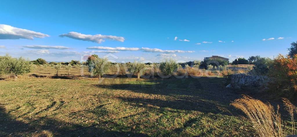 immagine annuncio 7 di 13