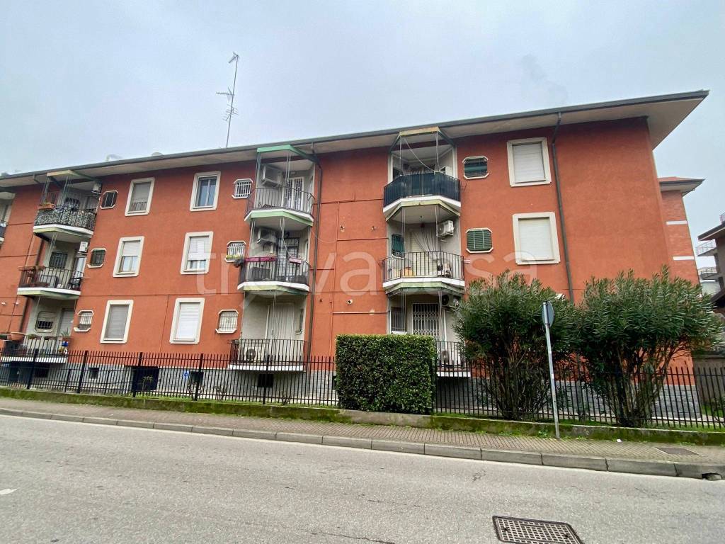 immagine annuncio 9 di 15