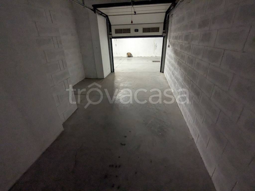 immagine annuncio 3 di 11