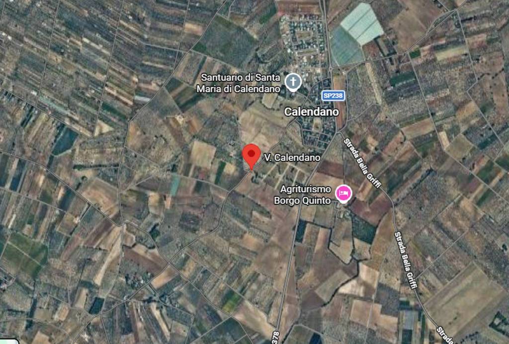 immagine annuncio 5 di 11