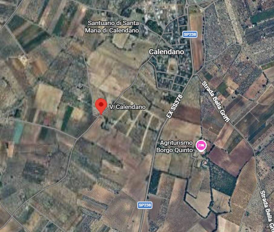 immagine annuncio 6 di 11