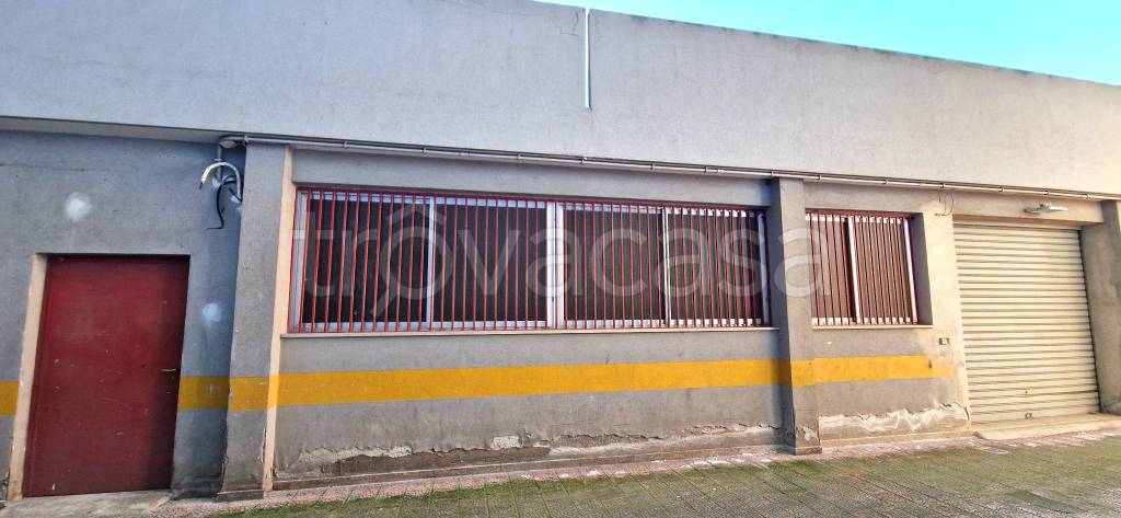 immagine annuncio 11 di 14