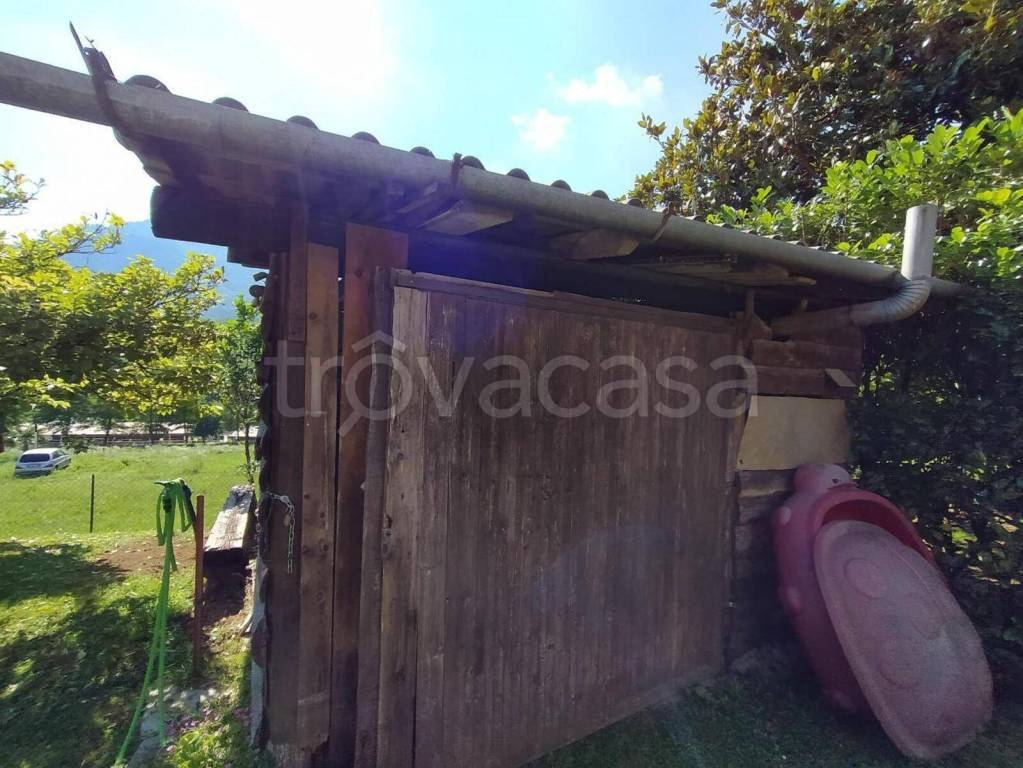 immagine annuncio 3 di 11