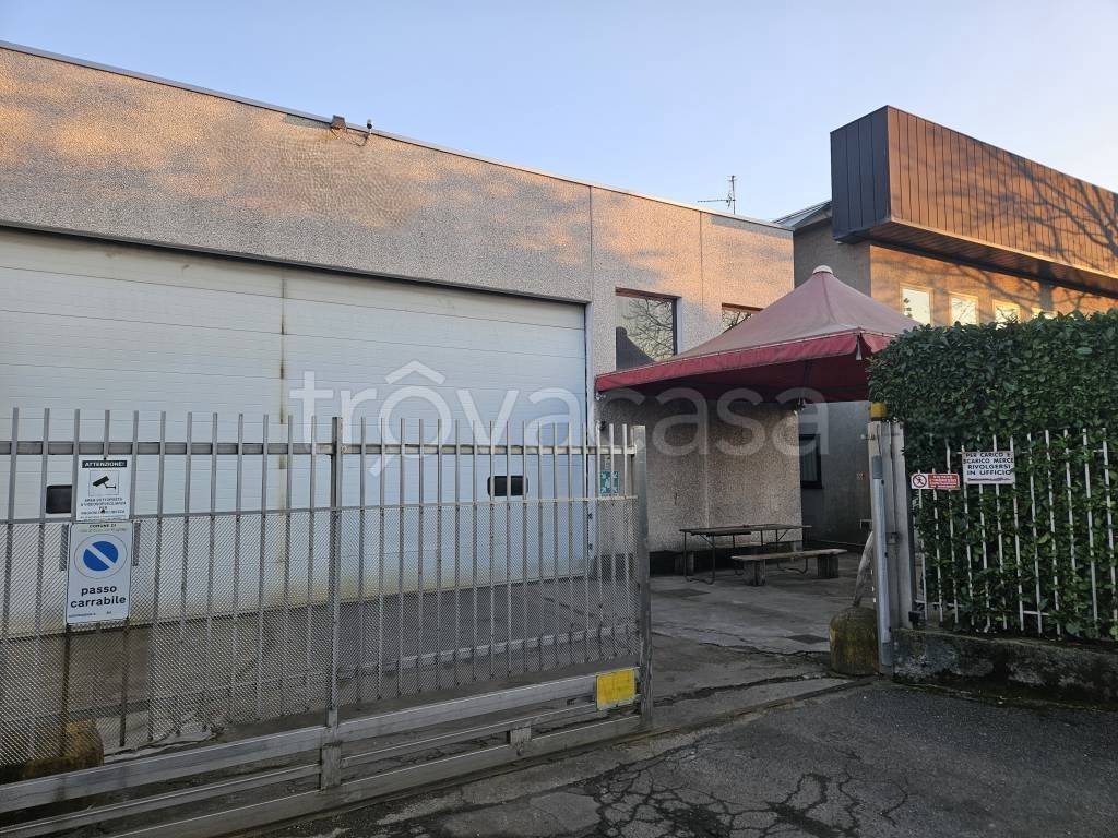 immagine annuncio 2 di 13