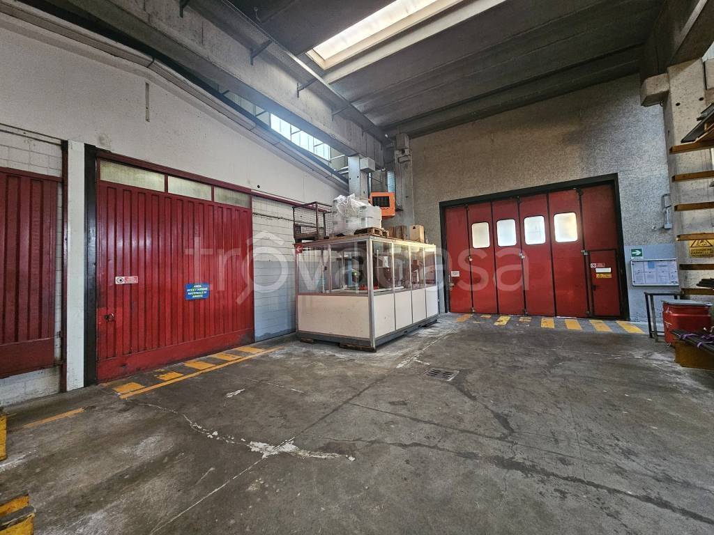 immagine annuncio 11 di 13