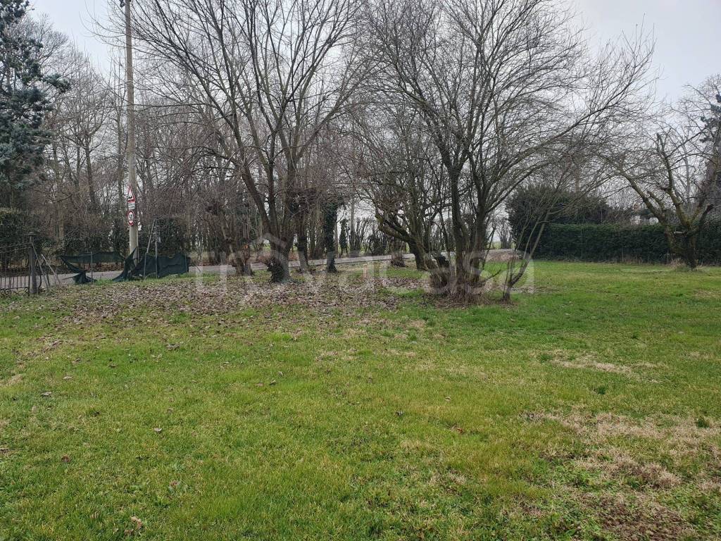 immagine annuncio 6 di 11